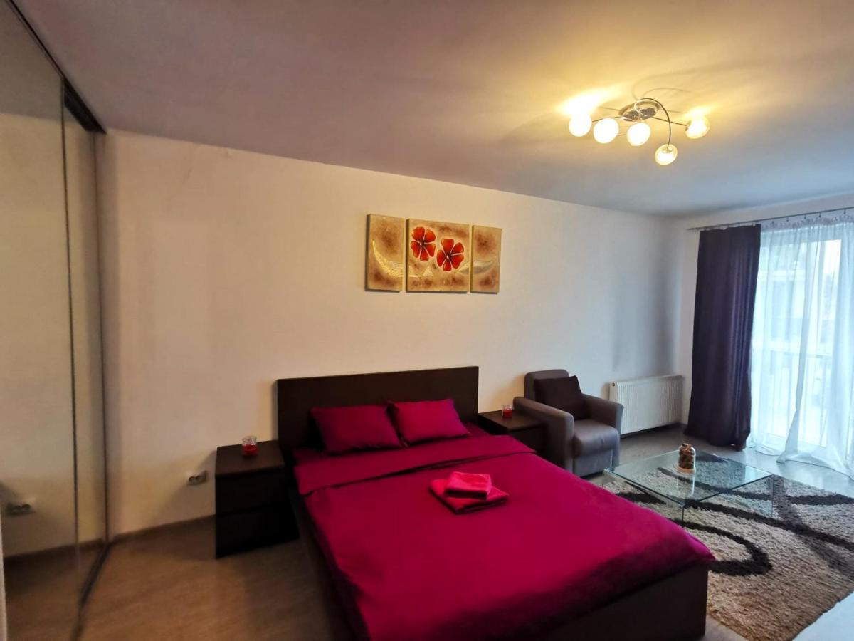 Contemporary Central Apartment In Cluj Napoca Екстер'єр фото